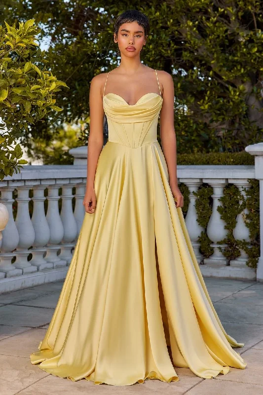 Take Advantage LUXE SATIN A LINE CORSET DRESS