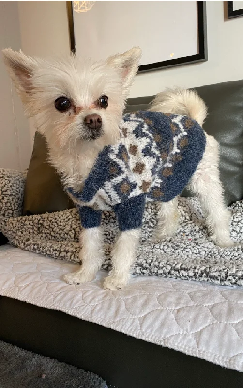 Today Only Après-ski Dog Sweater