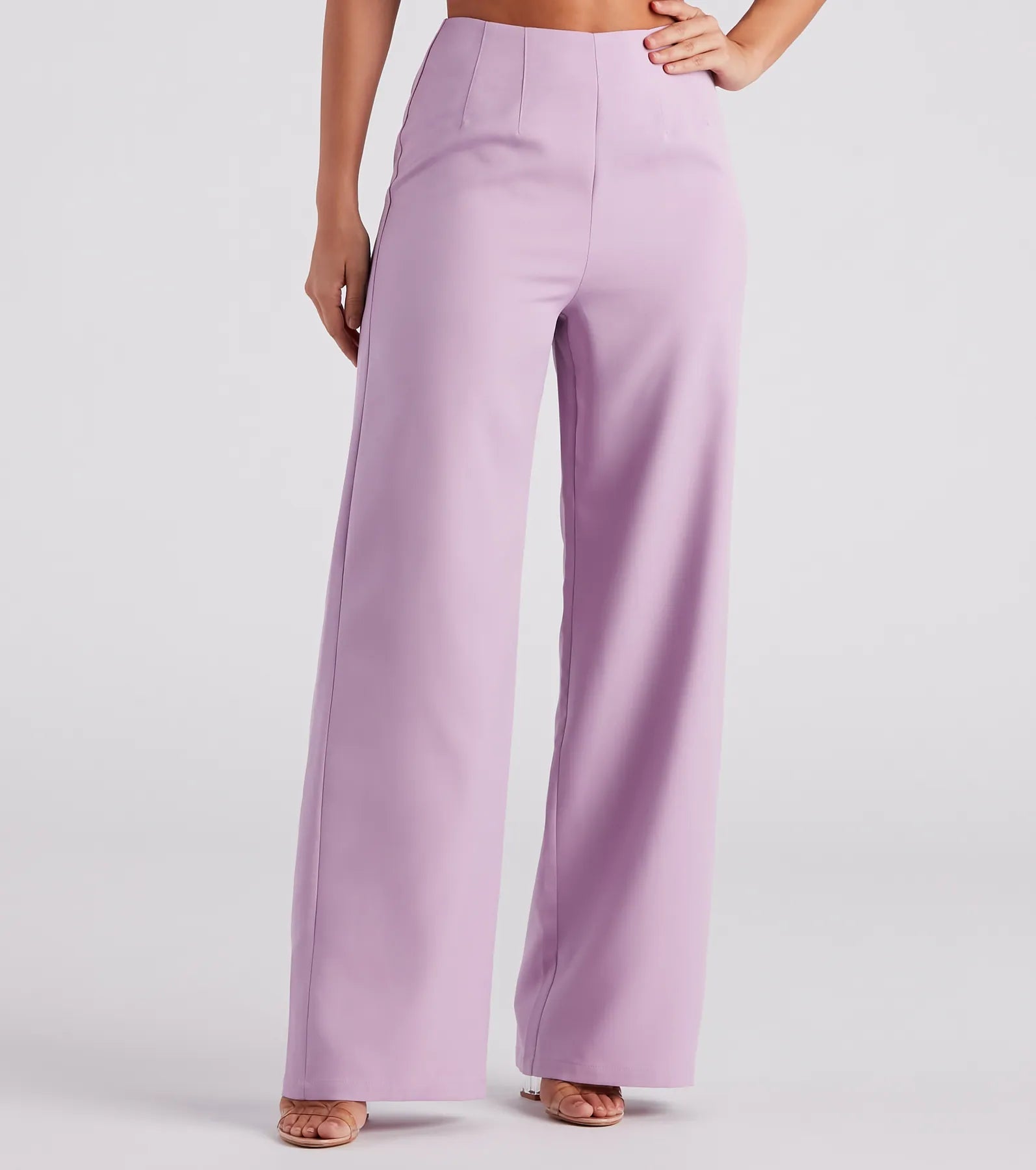 Take Advantage She Means Business Wide-Leg Pants