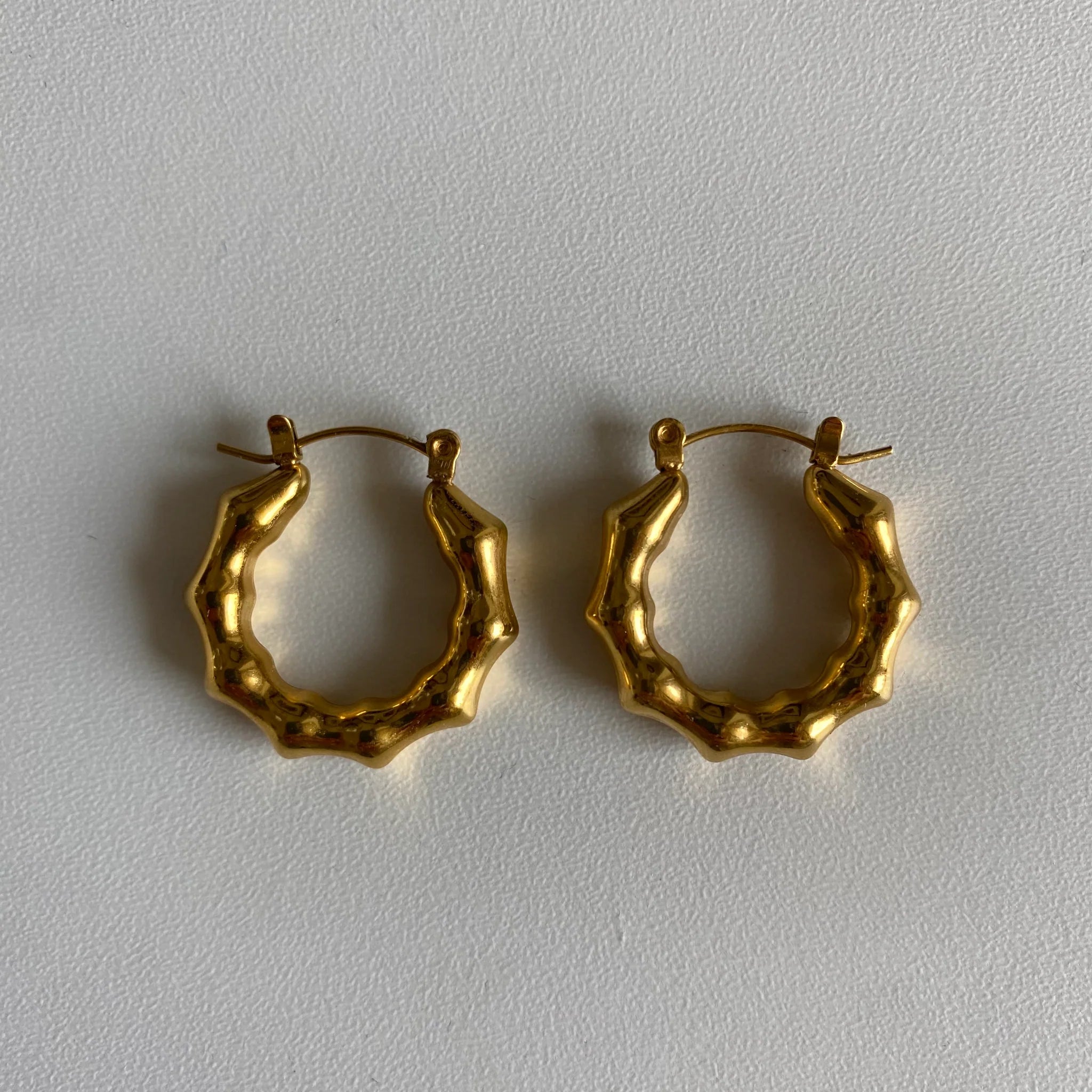 Daily Deals Lucrecia Earrings